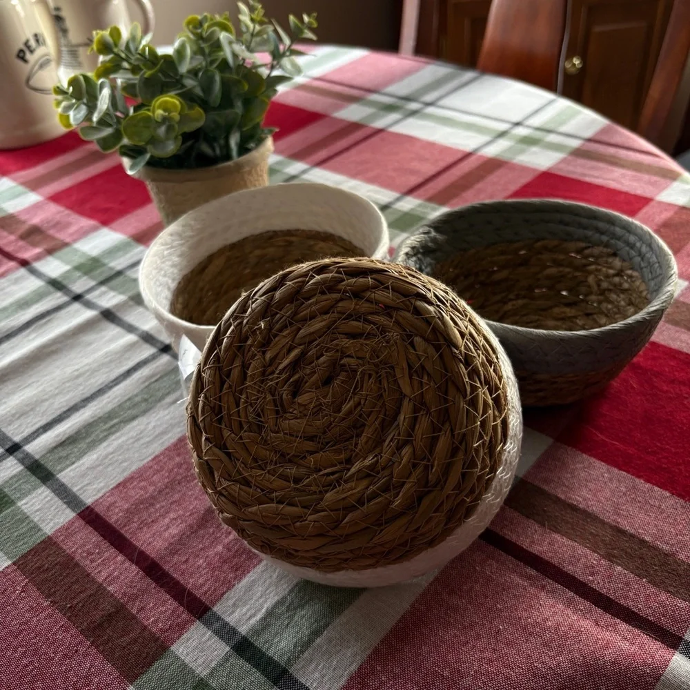 NWT Birch & Vine Small Woven Baskets, Set of Three